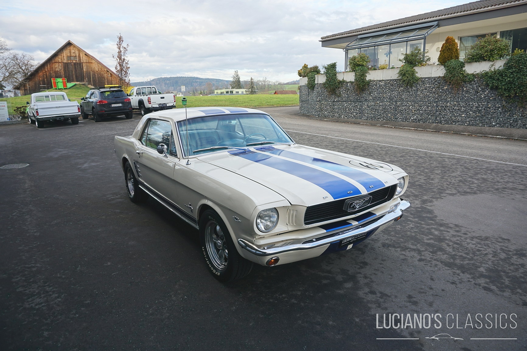 Ford Mustang 289