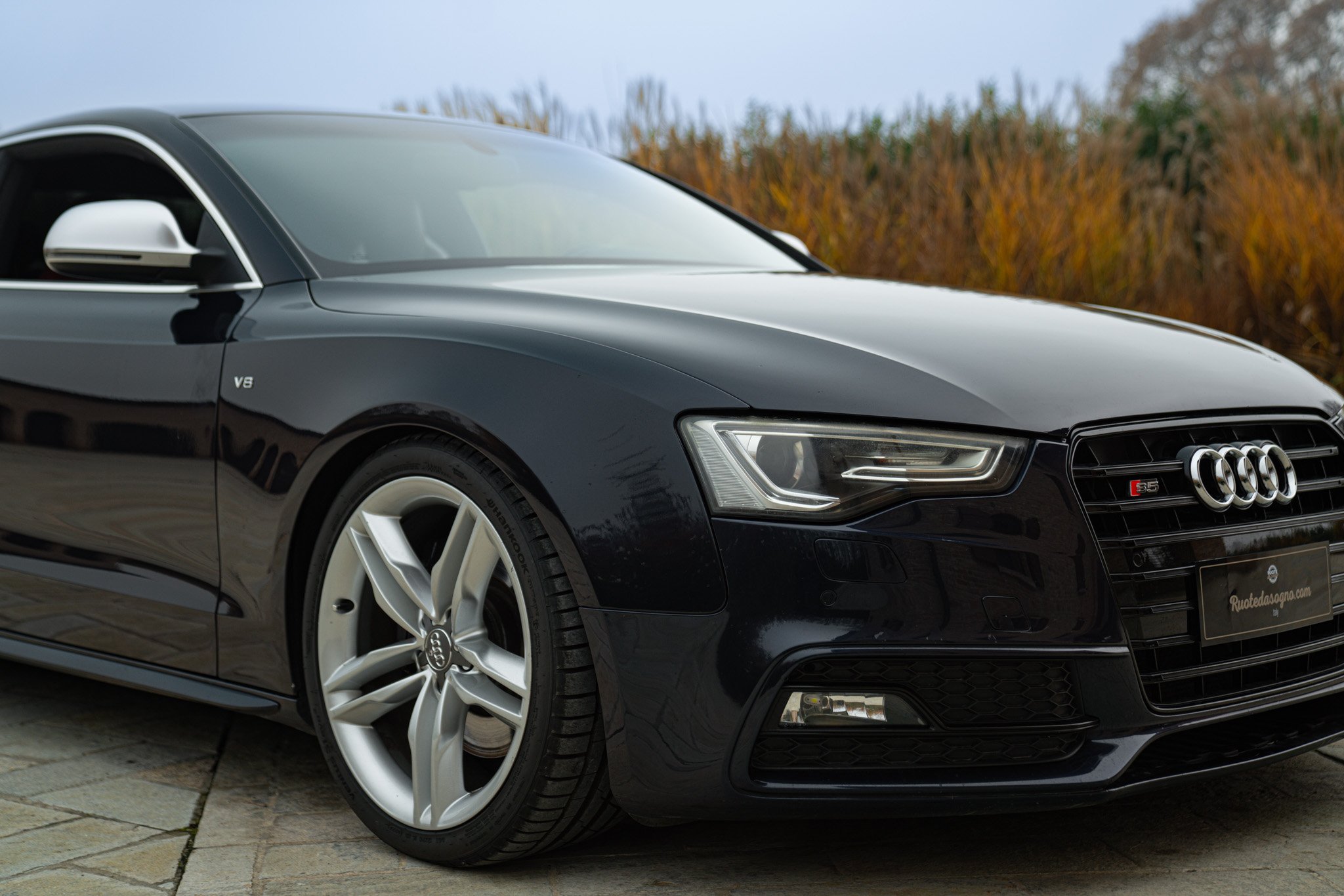 Audi S5 MANUALE 