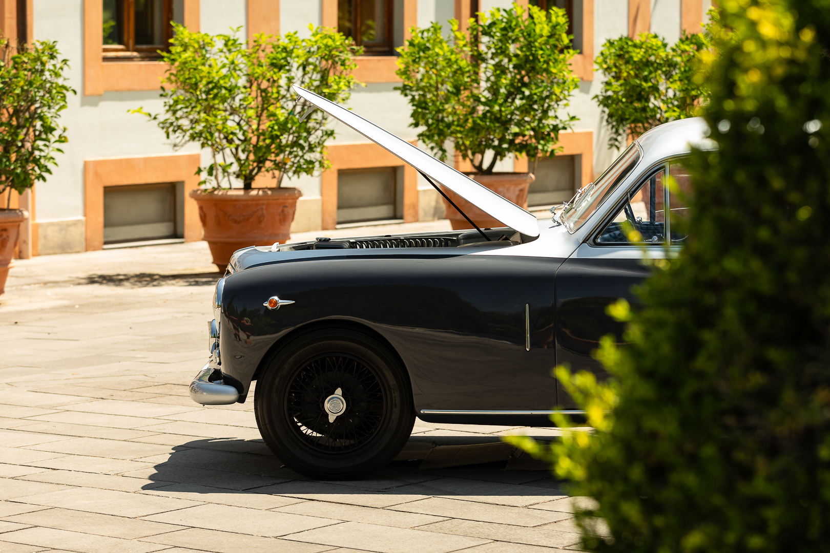 Lancia Augusta Coupé Ghia Fuoriserie 