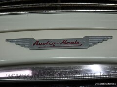 Austin Healey 100/6 \'58 