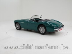 Austin Healey 100/4 BN1 \'54 