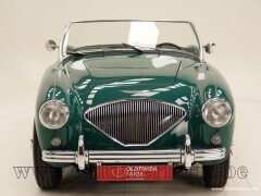 Austin Healey 100/4 BN1 \'54 