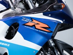 Suzuki TL 1000 R 