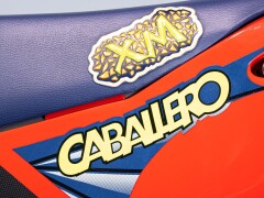 Fantic Motor CABALLERO 125 XM 