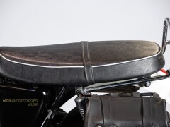 Triumph SCRAMBLER 900 